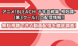 BLEACH 千年血戦篇-相剋譚-（第3クール） 配信
