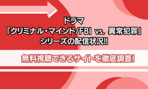 クリミナルマインド 配信