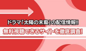 ドラマ「太陽の末裔」　配信状況