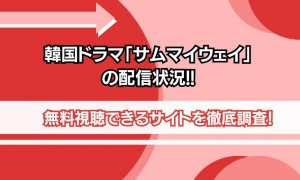 サムマイウェイ 配信