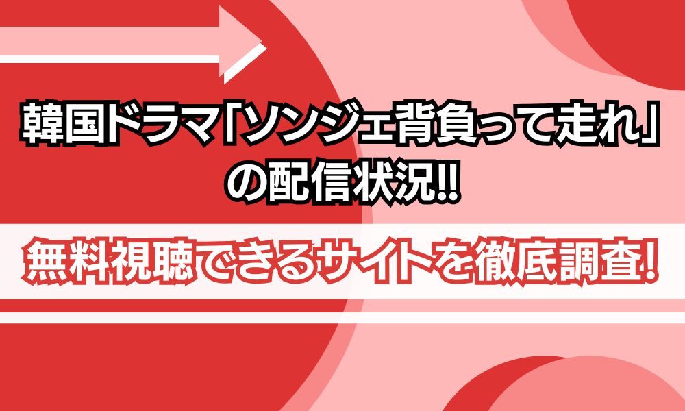 ソンジェ背負って走れ 配信 アイキャッチ画像