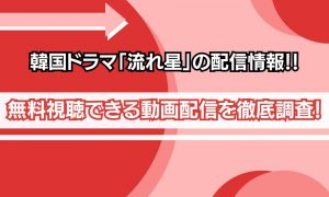 流れ星 韓国ドラマ どこで見れる