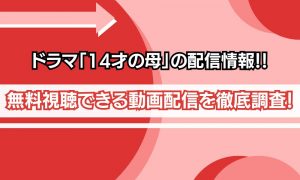 14才の母 配信