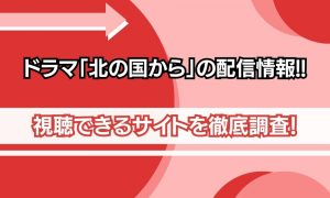 ドラマ 北の国から 配信情報