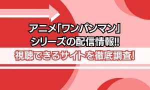 アニメ ワンパンマン 配信