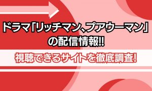 リッチマン、プアウーマン 配信