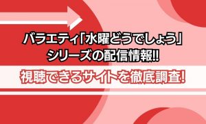 水曜どうでしょう シリーズ 配信状況
