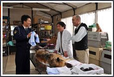 DOG×POLICE 純白の絆　場面写真